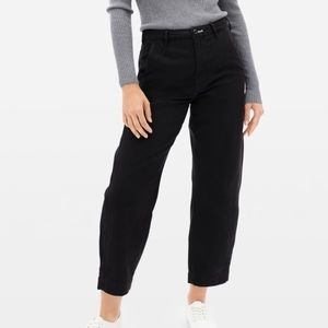 Everlane The Arc Canvas Pant